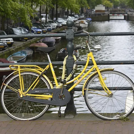 Quaamsterdam Амстердам