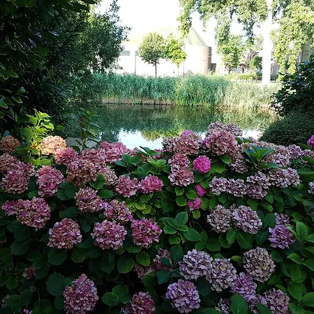 Quaamsterdam アムステルダム